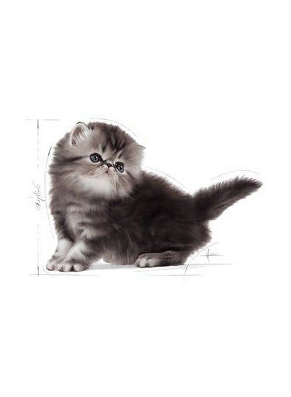 Royal Canin Feline Breed Nutrition Persian Cat Dry Food for Kittens, 4-12 Months, 2 Kg