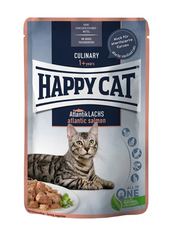 Happy Cat Culinary Atlantic Salmon Dry Cats Food, 85g