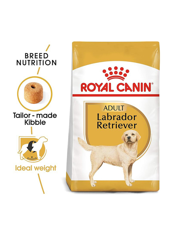 Royal Canin Breed Health Nutrition Labrador Retriever Adult Dog Dry Food for Up to 15+ Months, 12 Kg