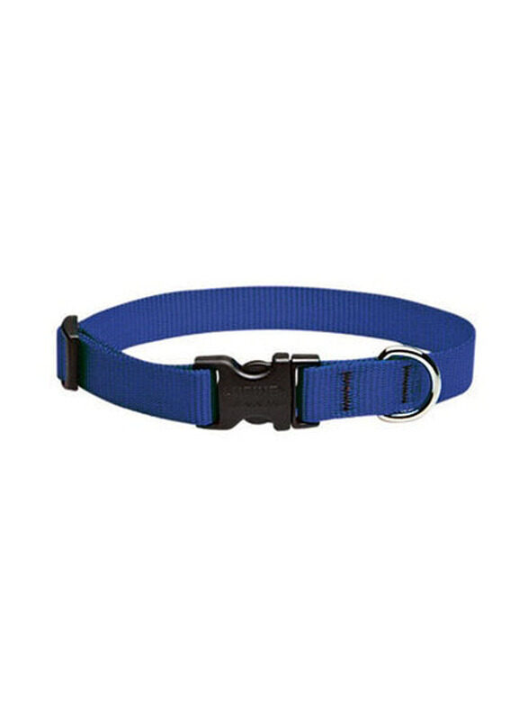 

Lupine 25 x 35cm Pet Collar, Blue