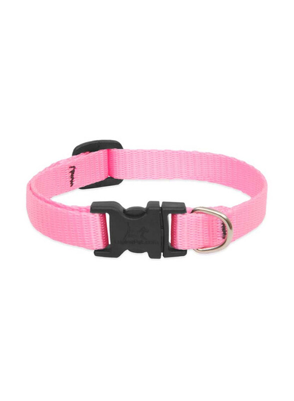 

Lupine Basics Nylon Dog Collar, 16-22cm, Light Pink