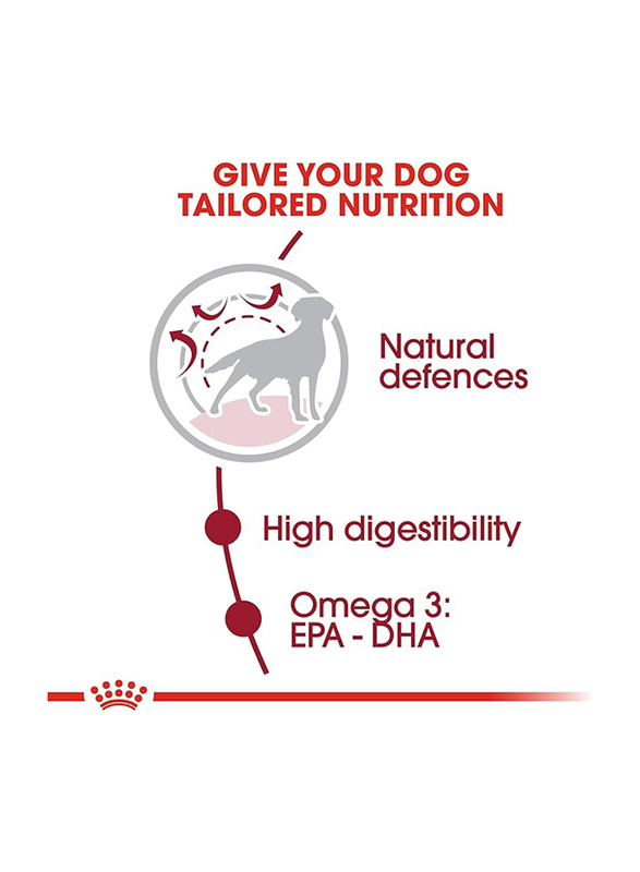 Royal Canin Size Health Nutrition Medium Size Adult Dog Dry Food for Up to 12+ Months & 11-25kg Dogs, 15 Kg