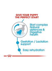 Royal Canin Starter Mother & Babydog Medium Breed Dogs Dry Food, 4 Kg