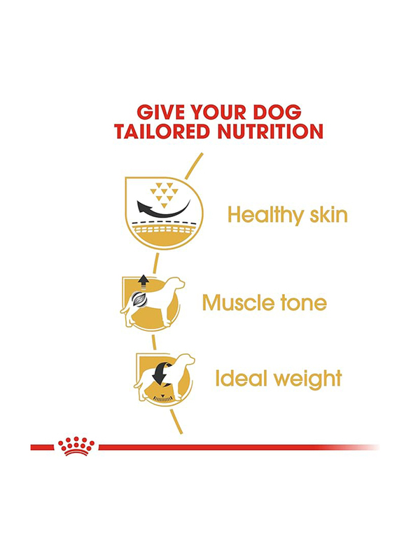 Royal Canin Breed Health Nutrition Pug Adult Dog Dry Food for Up to 10+ Months, 1.5 Kg