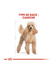 Royal Canin Poodle Breed Dry Dog Food for 10+ Months, 1.5 Kg