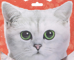 Kit Cat Freeze Bites Treats with Tuna Dry Cat Food, 15g