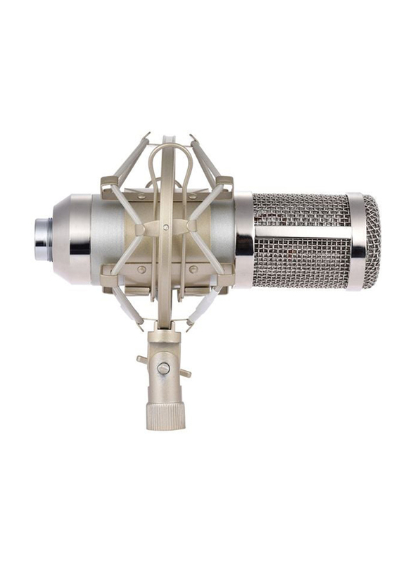 Recording Condenser Microphone Kit Set, I2694S-A, Silver/Black