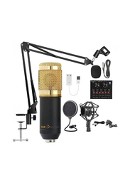 Condenser Microphone with Shock Mount, Black