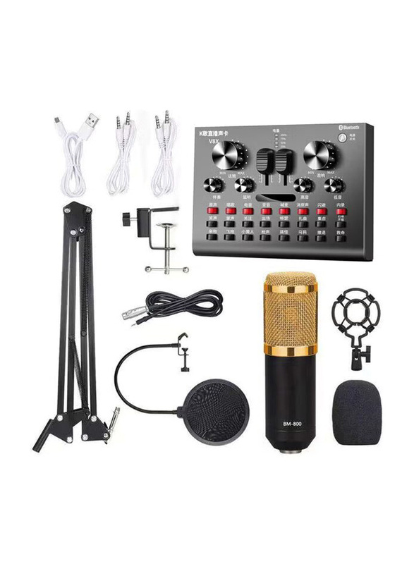 Multi-Functional Live Sound Card BM800 Microphone Set, I7765-7-T, Black