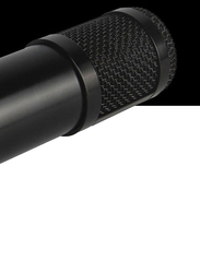 BM800 Multi-Functional Live Sound Card Microphone Audio Recording Equipment Set, I7765-6-T, Multicolour