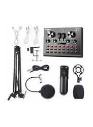 BM800 Multi-Functional Live Sound Card Microphone Audio Recording Equipment Set, I7765-6-T, Multicolour