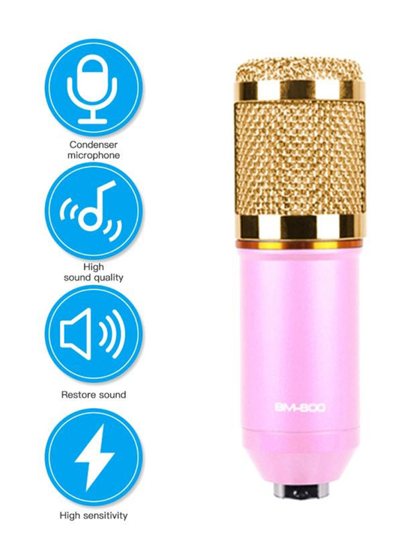 Condenser Microphone with Accessories Set, BM-800, Multicolour