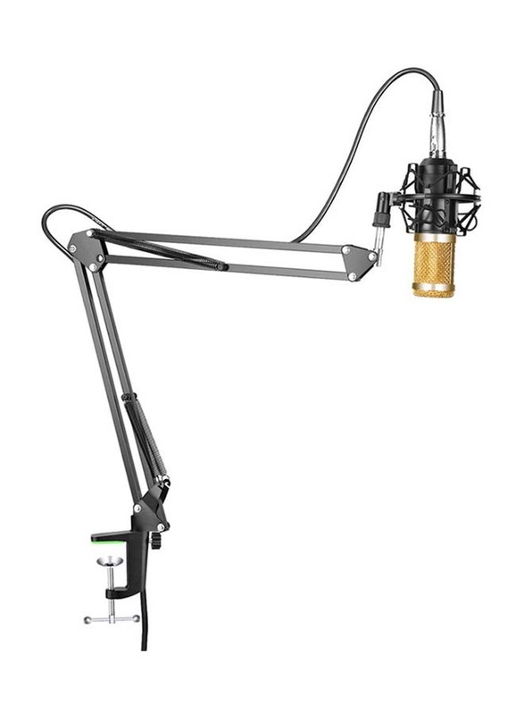 Studio Live Stream Broadcasting Recording Condenser Microphone Set, LU-V5-175, Black/Gold