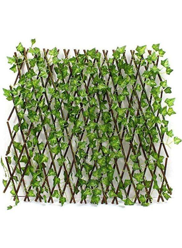 

Generic Bamboo Garden Fence with a Medium Sized Vegetable Garden, Green