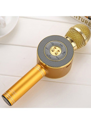 Bluetooth Karaoke Microphone, WS-858, Gold/Silver