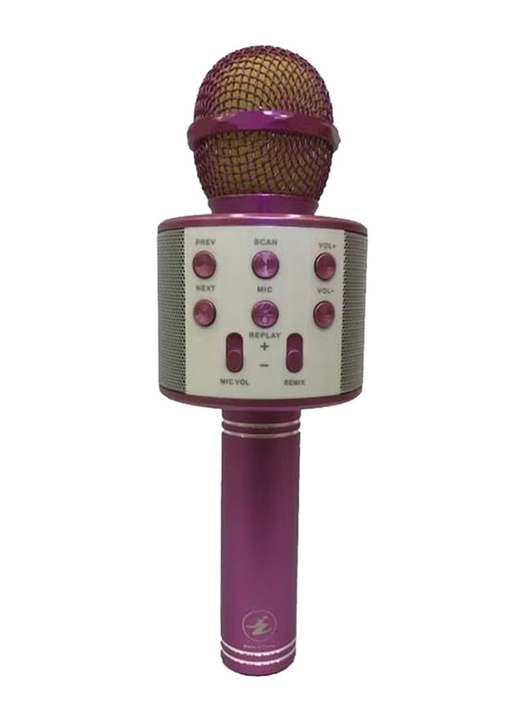 WS-858 Wireless Karaoke Microphone, Multicolour