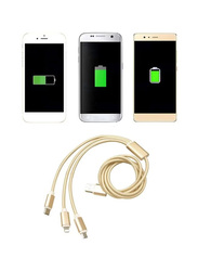 1.2-Meter 3-In-1 Multi USB Braided Charging Cable, USB A to Lightning, USB Type-C, Micro USB for Smartphone, Gold