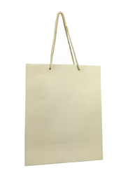 12-Piece Paper Gift Bag with Handle, Beige