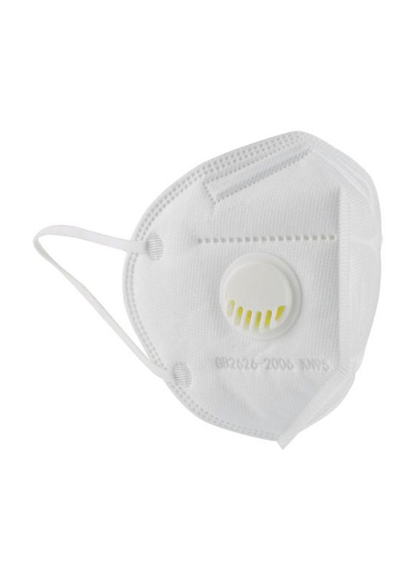 KN95 Anti Pollution Face Mask, White, 1-Piece