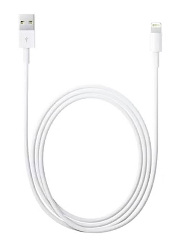 1-Meters Lightning Cable, USB Type A Male to Lightning Sync And Charging Cable for Apple Devices, White/Silver