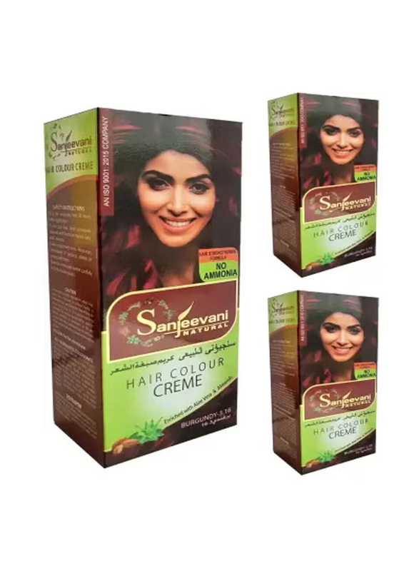 Sanjeevani Natural No Ammonia Hair Colour Cream, 110ml, Burgundy