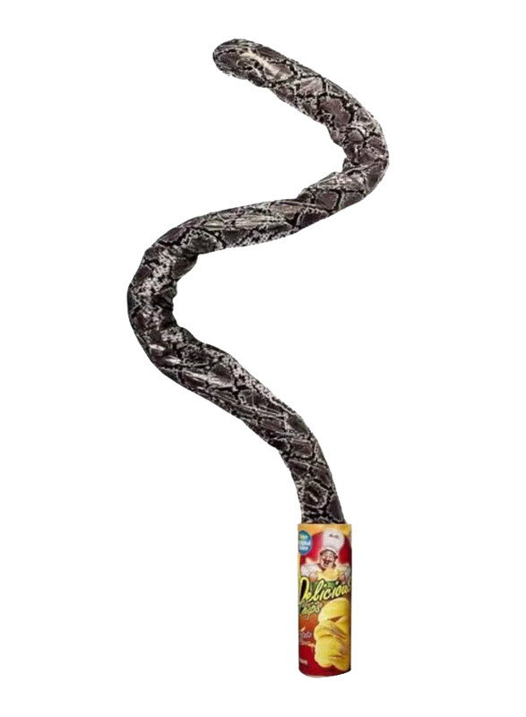

Generic The Potato Chip Can Jump Spring Snake Toy, Black, Ages 6+