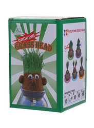 Letbo Magic Growing Grass Head DIY Craft, Ages 6+