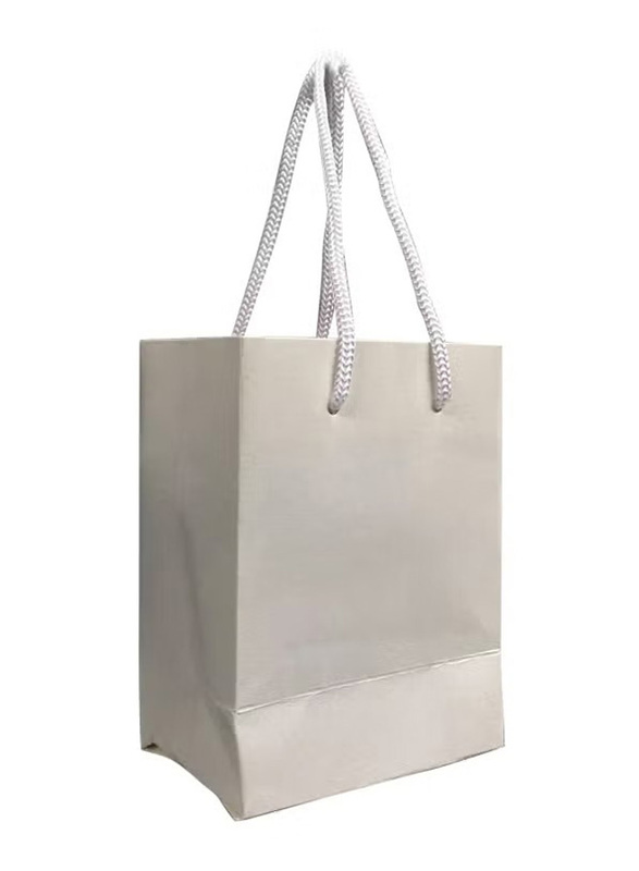 12-Piece Paper Bag With Handles, White
