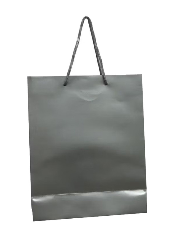 12-Piece Paper Gift Bag, Silver