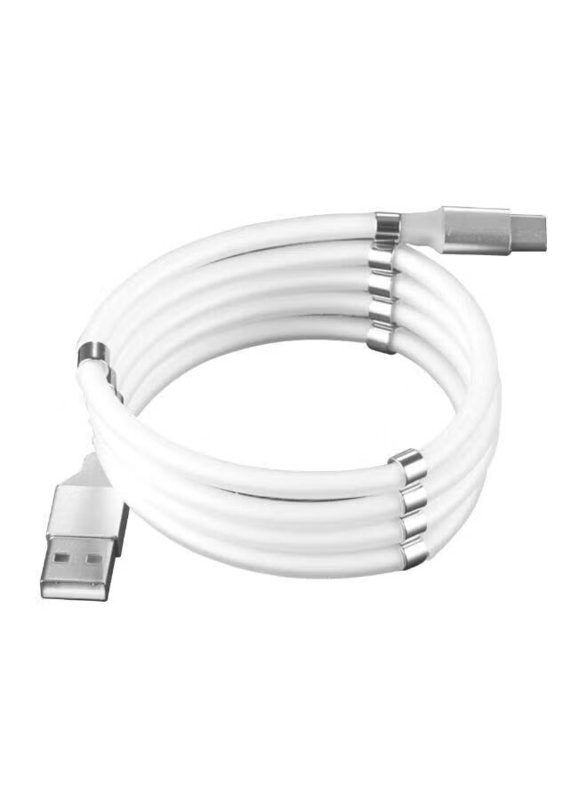 2-Feet C Magnetic Data Sync & Charging Cable, USB Type A to USB Type C Cable, White/Silver