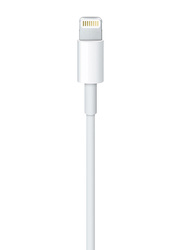 2 Feet Lightning To USB Cable, White