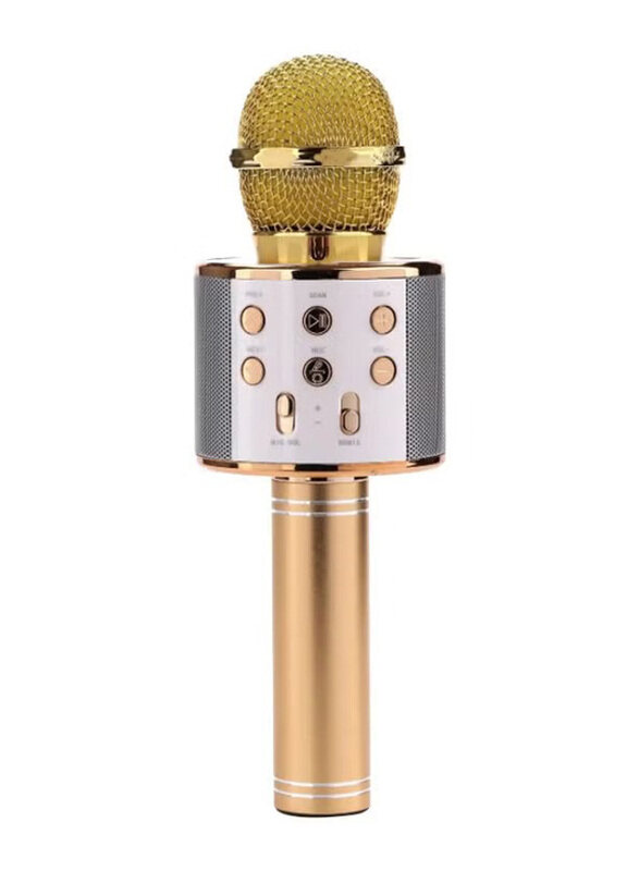 WS-858 Bluetooth Karaoke Microphone, Gold/Silver