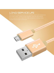 1 Meter Micro USB To USB Data Sync & Charging Cable, Gold