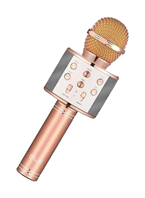 Wster 2Ws858 Bluetooth Portable Microphone, Rose Gold