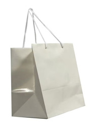 12-Piece Paper Gift Bag Set, White