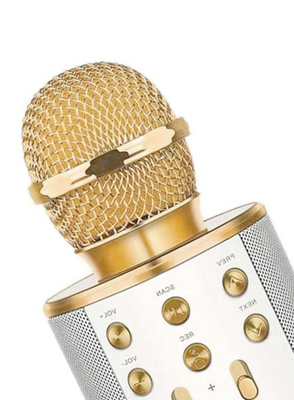 WS-858 Wireless Karaoke Microphone, Gold/Silver