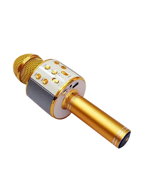 Wireless Bluetooth Karaoke Microphone, Gold