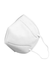 N95 Disposable Face Mask, 1 Piece