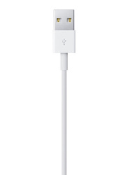 2 Feet Lightning To USB Cable, White