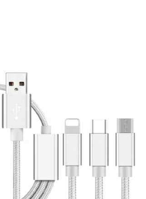 1.5-Meter 3 In 1 Charging Cable, USB Male to Multiple Types for Smartphones/Tablets, Silver