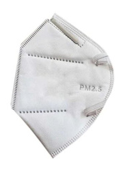 KN95 Protective Face Mask with Disposable Breathing Value
