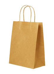 10-Piece Kraft Paper Bags with Handles, Khaki