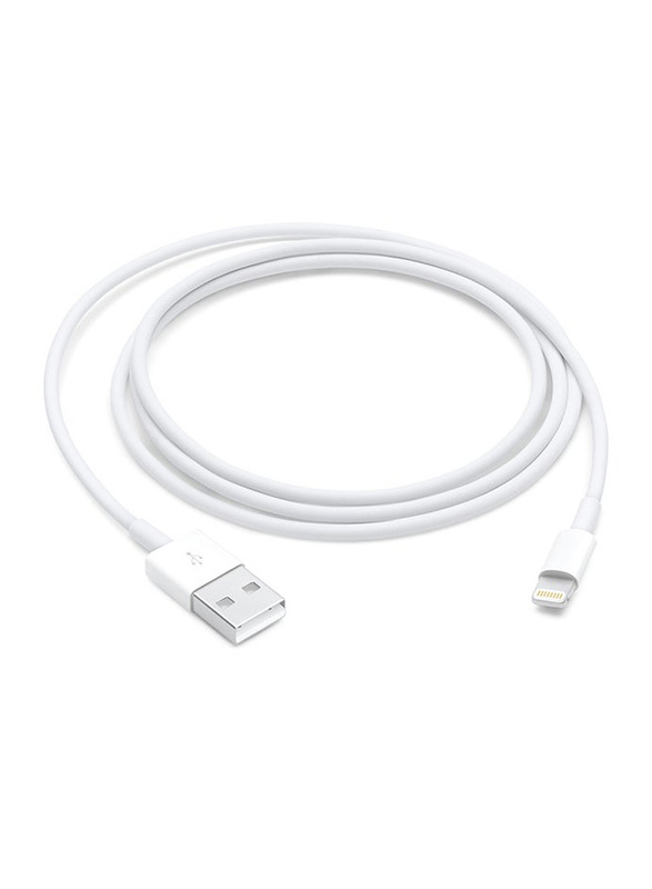 2 Feet Lightning To USB Cable, White