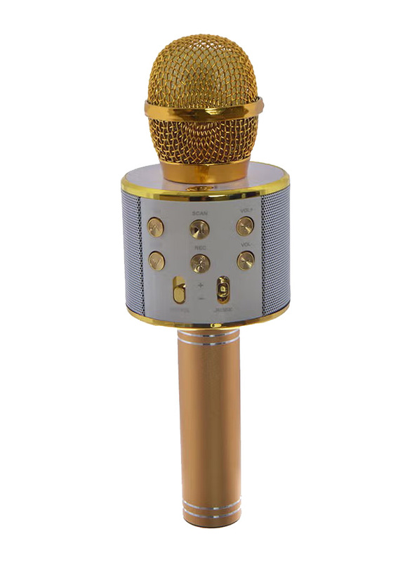 WS-858 Wireless Karaoke Microphone, Gold/White