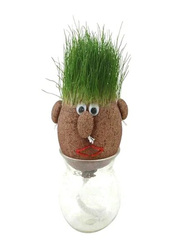Letbo Magic Growing Grass Head DIY Craft, Ages 6+