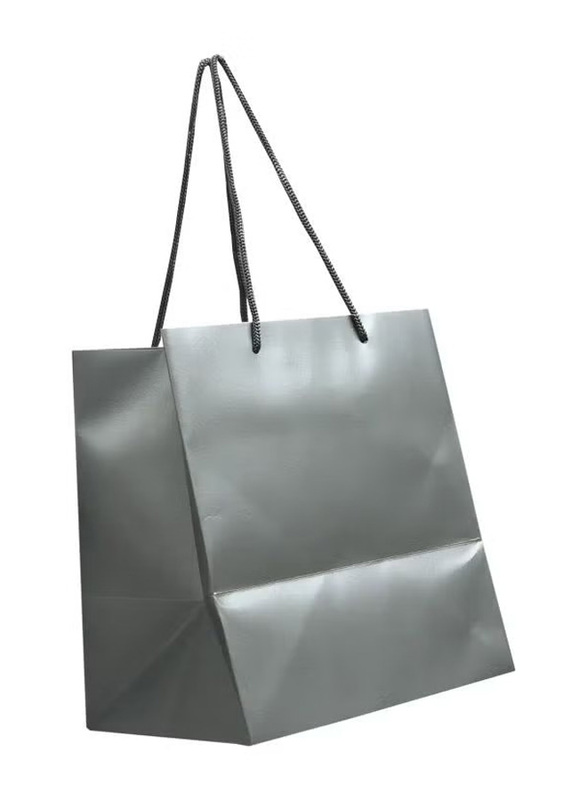 12-Piece Paper Bag With Handles, Silver