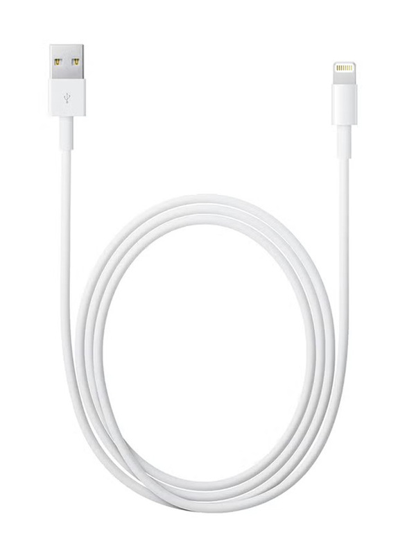 2-Feet Lightning Cable, USB Type A Male to Lightning Sync And Charging Cable for Apple Devices, White/Silver