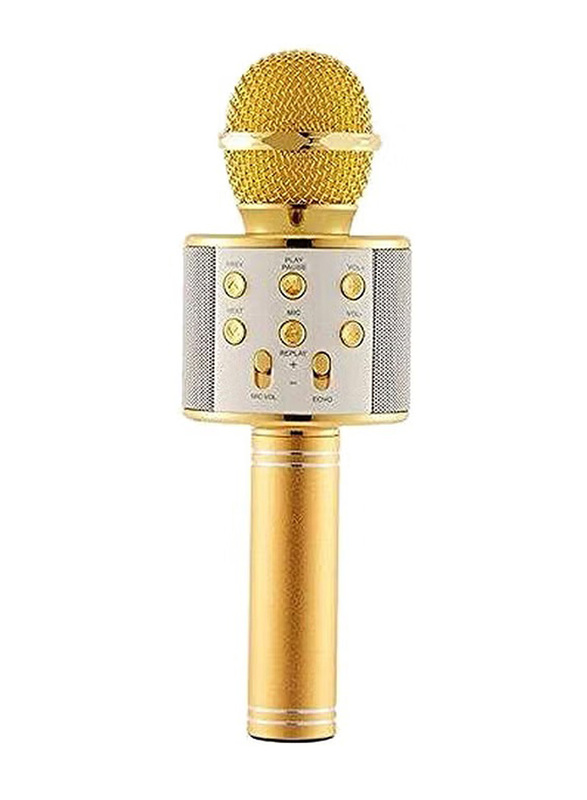 WS-858 Wireless Handheld Bluetooth Karaoke Microphone With USB KTV Player, Gold/Silver
