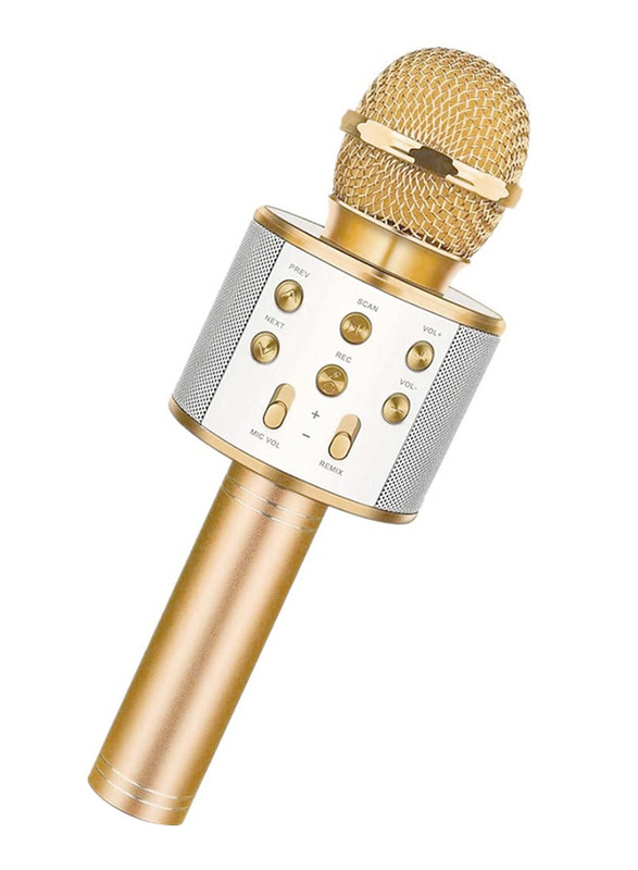 WS-858 Wireless Handheld Karaoke Microphone, PAA2385G_P, Gold