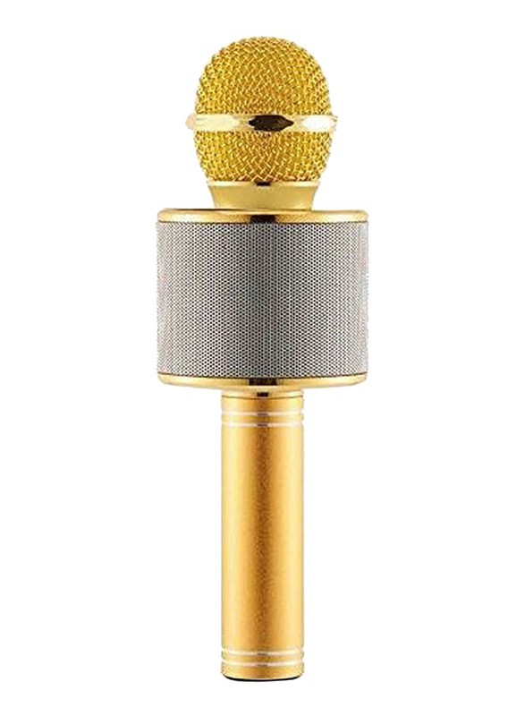 Wireless Karaoke Handheld Microphone Bluetooth with USB KTV Player, WS858, Gold/Silver